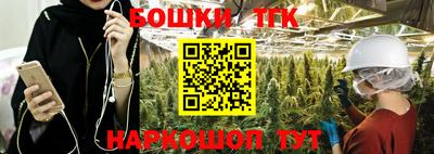 гидра Шахты